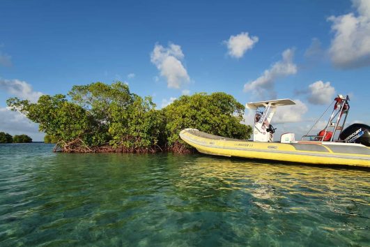 excursion dans le lagon